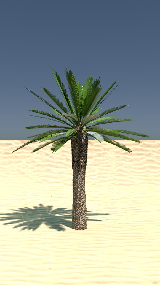 Palm Tree preview image 1